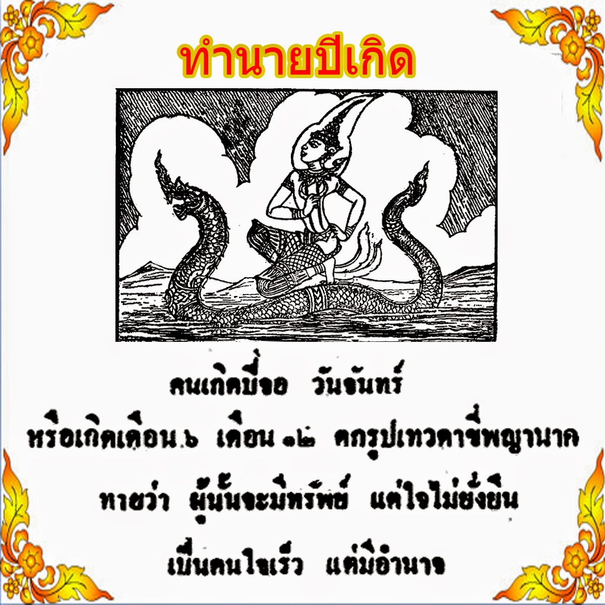 My Image 16