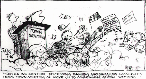 Every Day Is Special: March 7 - Town Meeting Day in Vermont