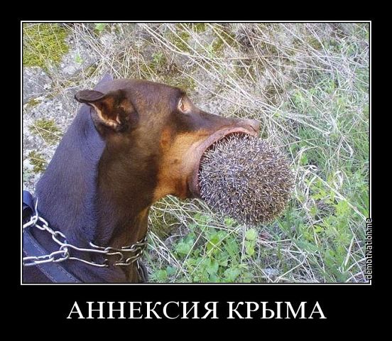 Украина выражает решительный протест из-за визита Путина в оккупированный Крым, - МИД - Цензор.НЕТ 6645