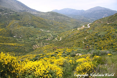 Kefalonia Spring Colors