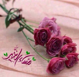 صور مساء الخير Good-evening HD بوستات وبطاقات مساء الخير صور مساء الخير Good-evening HD بوستات وبطاقات مساء الخير