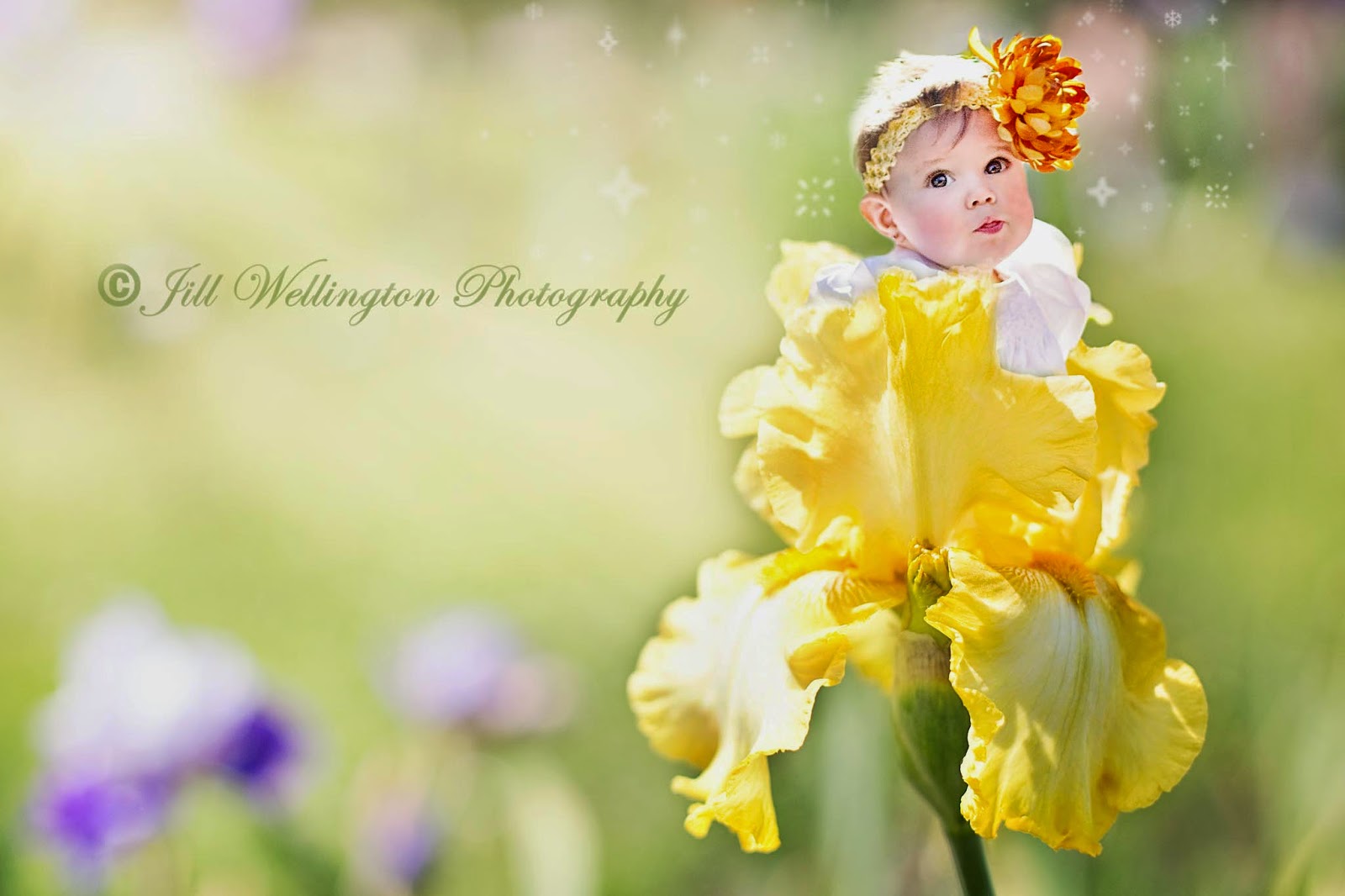 For Photographers Flower Babies