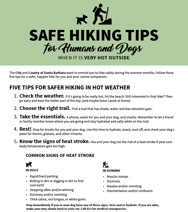 Multiuse Trails Coalition Hiking Safety For Humans and Dogs