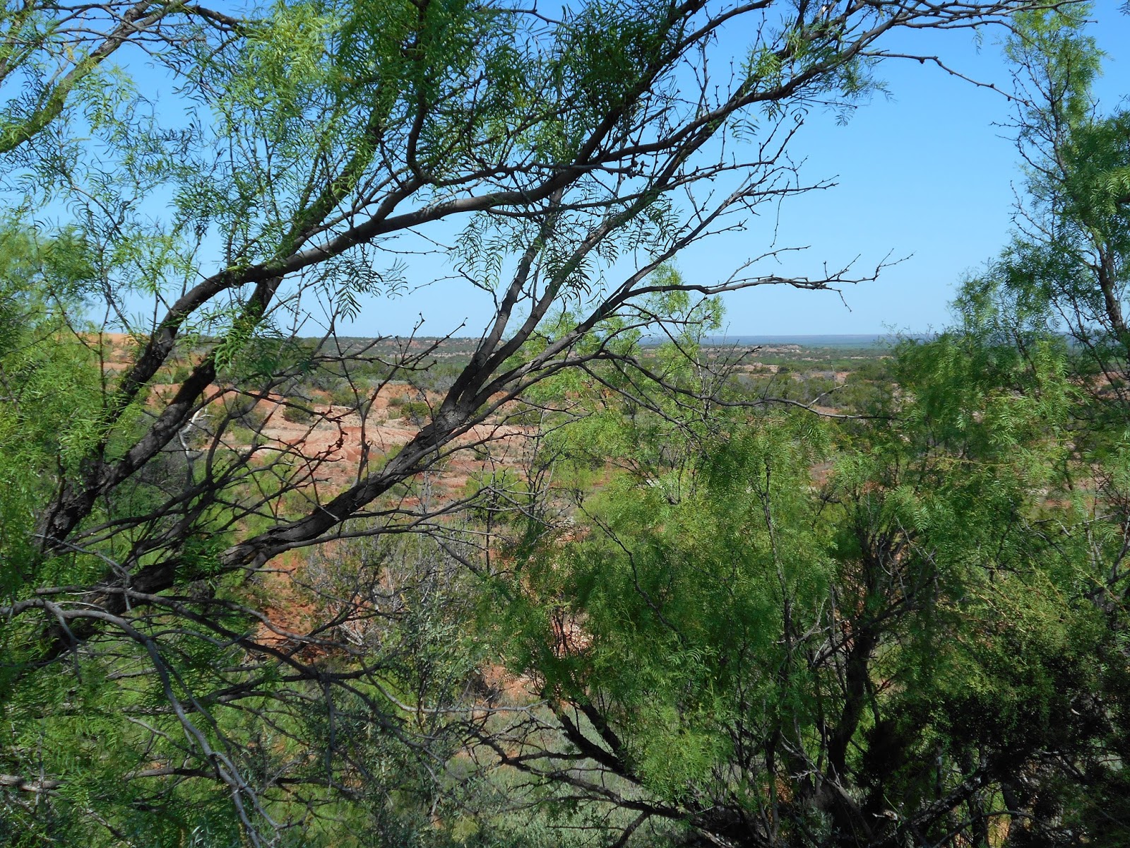 A Trip to Benjamin,Texas