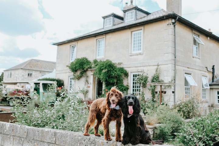 Dog Friendly Guide to Wiltshire