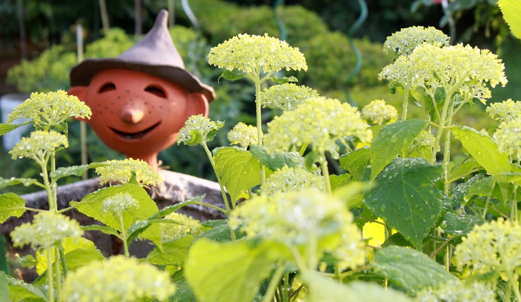 Terrakotta-Vogelscheuche zwischen Annabell-Hortensien Bauerngarten-Deko aus Keramik