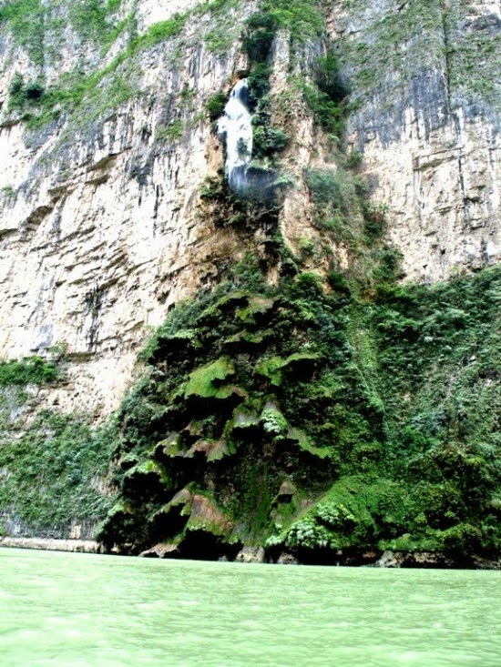 Arbol-de-Navidad-waterfall-550x733.jpg