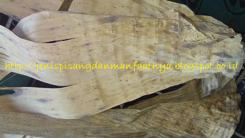 Nama Lain Daun Pisang Kering Dalam Bahasa Inggris Gambar Nama Lain Daun Pisang Kering Dalam Bahasa Inggris