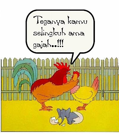 Lucu Buat Pacar Selingkuh Ktawa Ayo Ketawa Lucu Buat Pacar Selingkuh Ktawa Ayo Ketawa