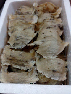 Hội thảo phát triển bền vững ngành nghề yến sào Việt Nam hoi-thao-phat-trien-ben-vung-nganh-nghe-yen-sao-viet-nam