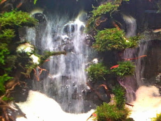 200 Referensi Desain Dan Model Aquascape Berdasarkan Tema https://www.faktapopuler.com/2018/12/200-referensi-desain-dan-model.html