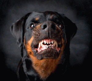 Mejorar relaciones interpersonales