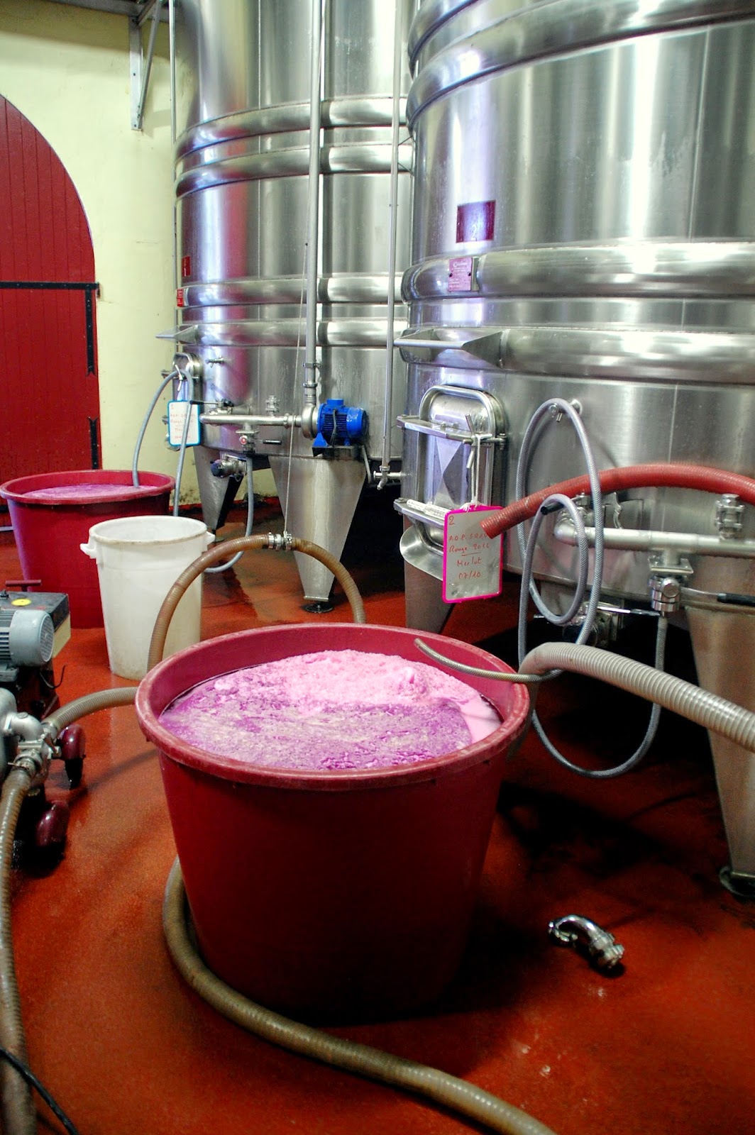 La course à la bulle Levurage et début des fermentations alcooliques