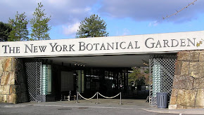 The New York Botanical Garden