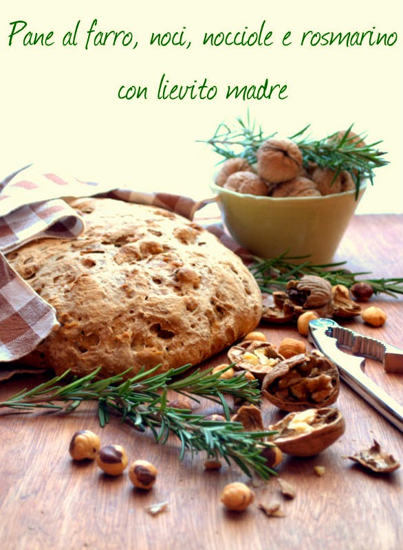 pane al farro, noci e rosmarino con lievito madre per #cominciolunedì