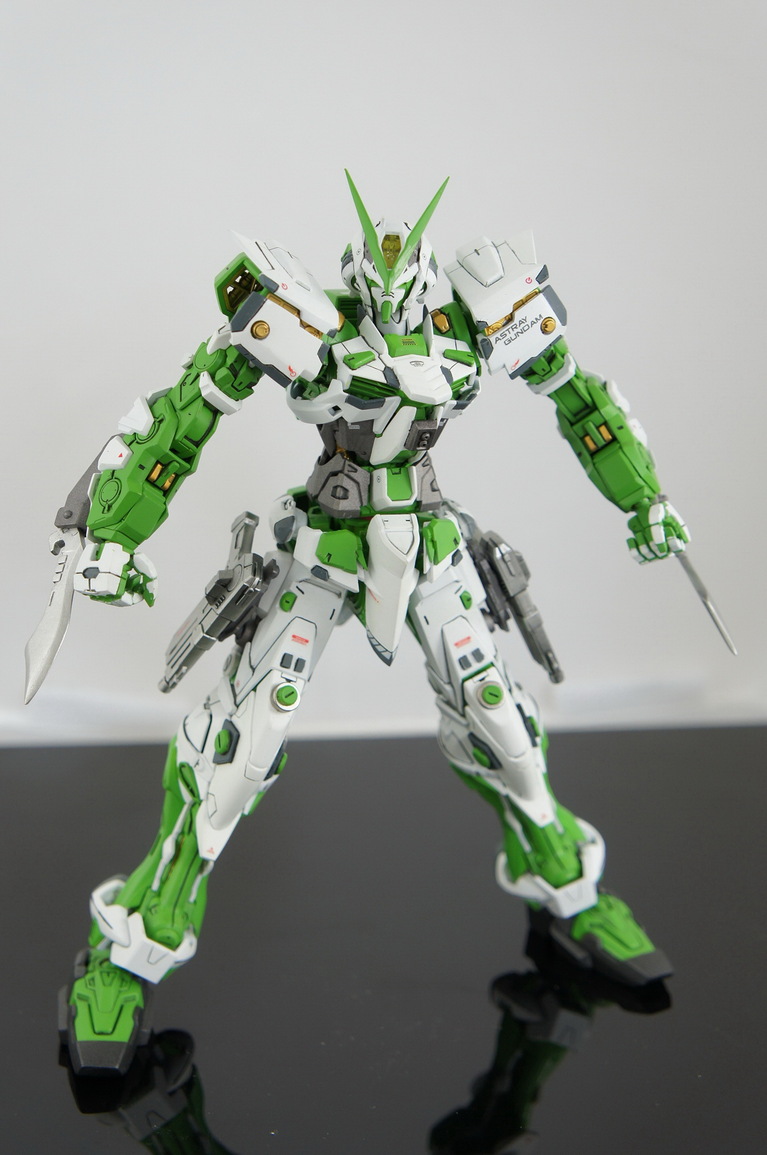 Gundam Style Mg Gundam Astray Green Frame Mars Sobeck Custom Build