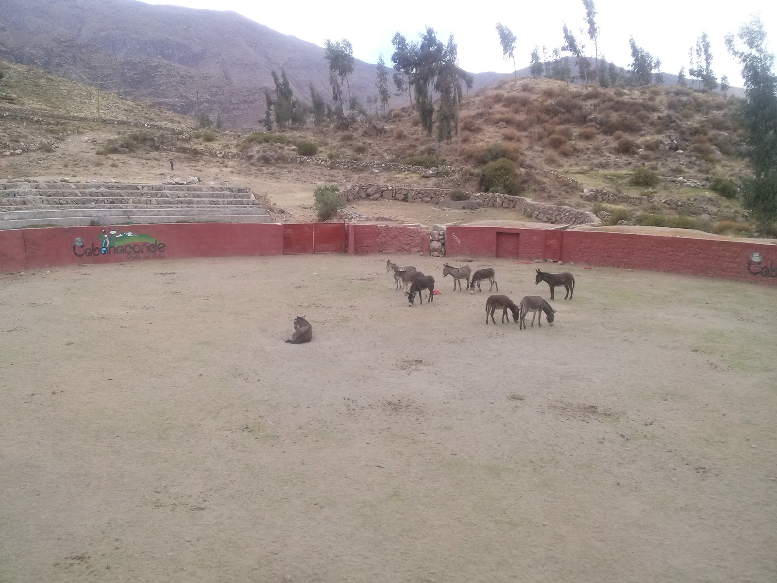 Antigua plaza de toros ahora convertida en cuadra de burros Antigua plaza de toros ahora convertida en cuadra de burros
