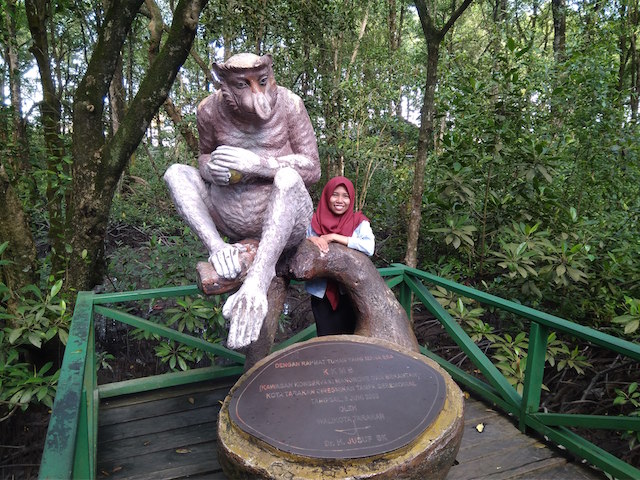 Bekantan di Tarakan