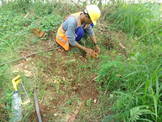 Jasa pembuatan biopori yang benar