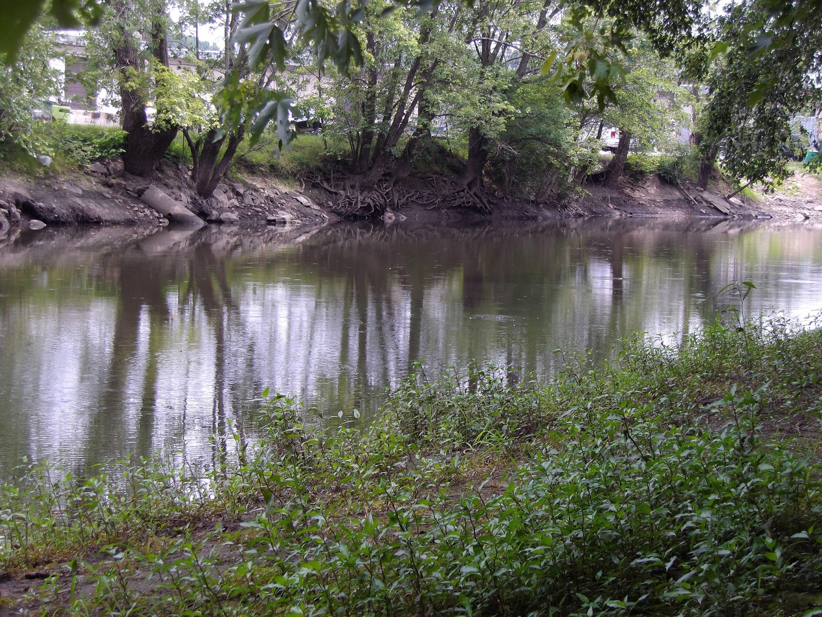 The Great Lakes of NYC Passaic River for pike