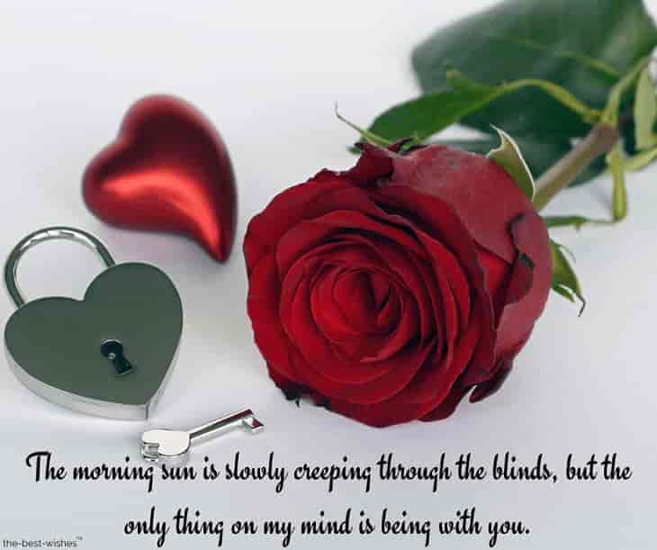 romantic-message-with-red-rose romantic message with red rose
