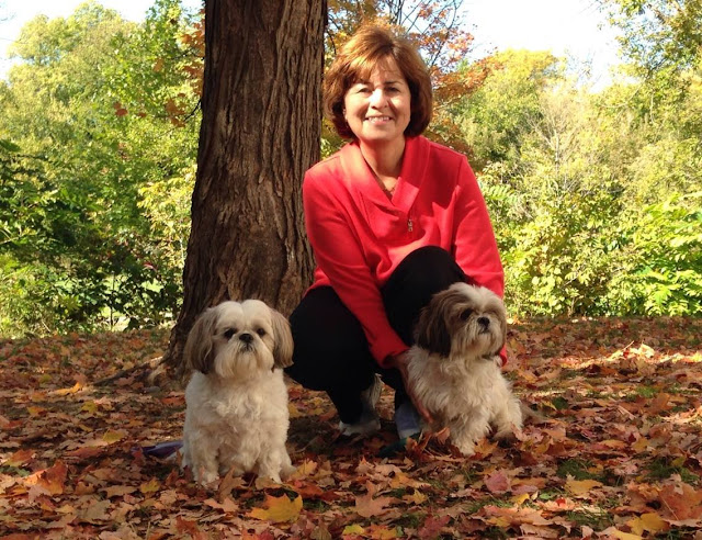 Os Shih tzu ajudam a combater a depressão