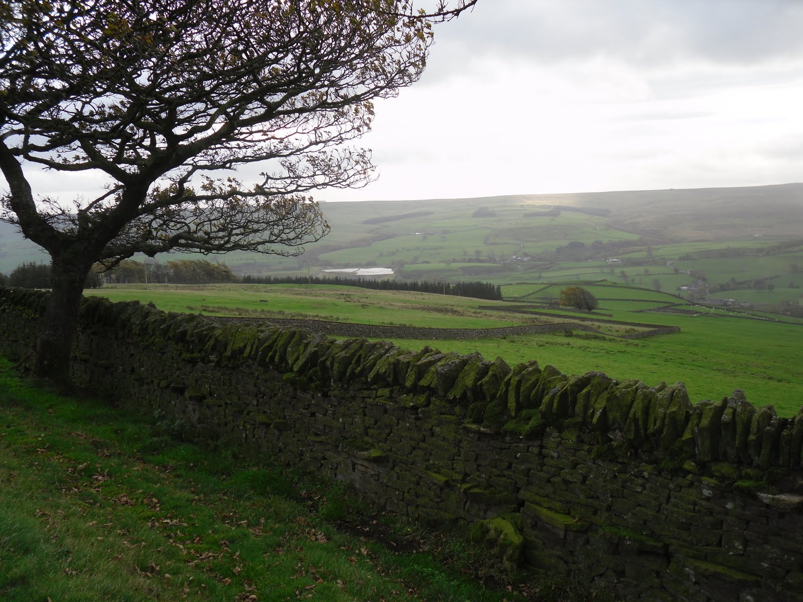 Rambling Nana Stanhope & Wolsingham Park Moor