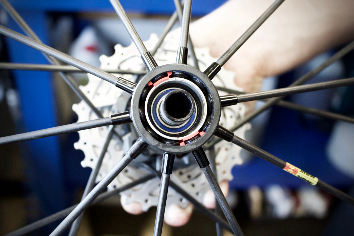 Behind The Brand CeramicSpeed