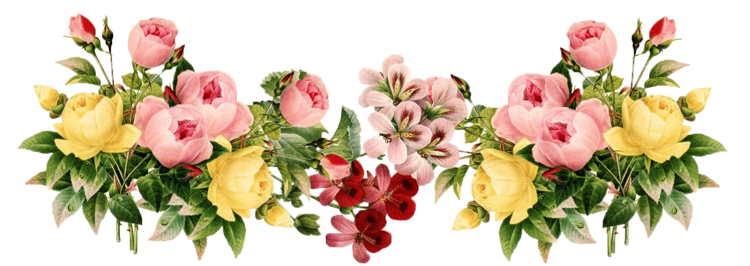 https://4.bp.blogspot.com/-VdZrGB8SEio/WXLS7ehy8vI/AAAAAAAHN10/v9BW7d506689vuJZqiq8hRZabN_6i02RgCLcBGAs/s1600/Flowers-PNG-3.png