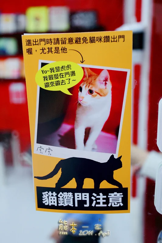 貓館｜台北待認養貓。貓住宿。貓旅館