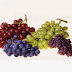Calories In Grapes and 9 Important Nutrition Facts You Should Know