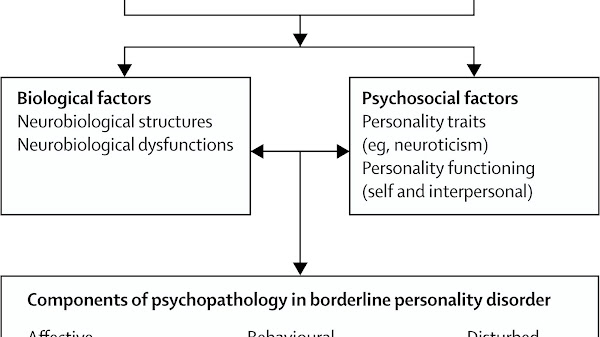 Self Treatment For Borderline Personality Disorder