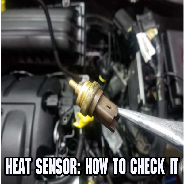 Heat sensor: how to check it and symptoms of a defect