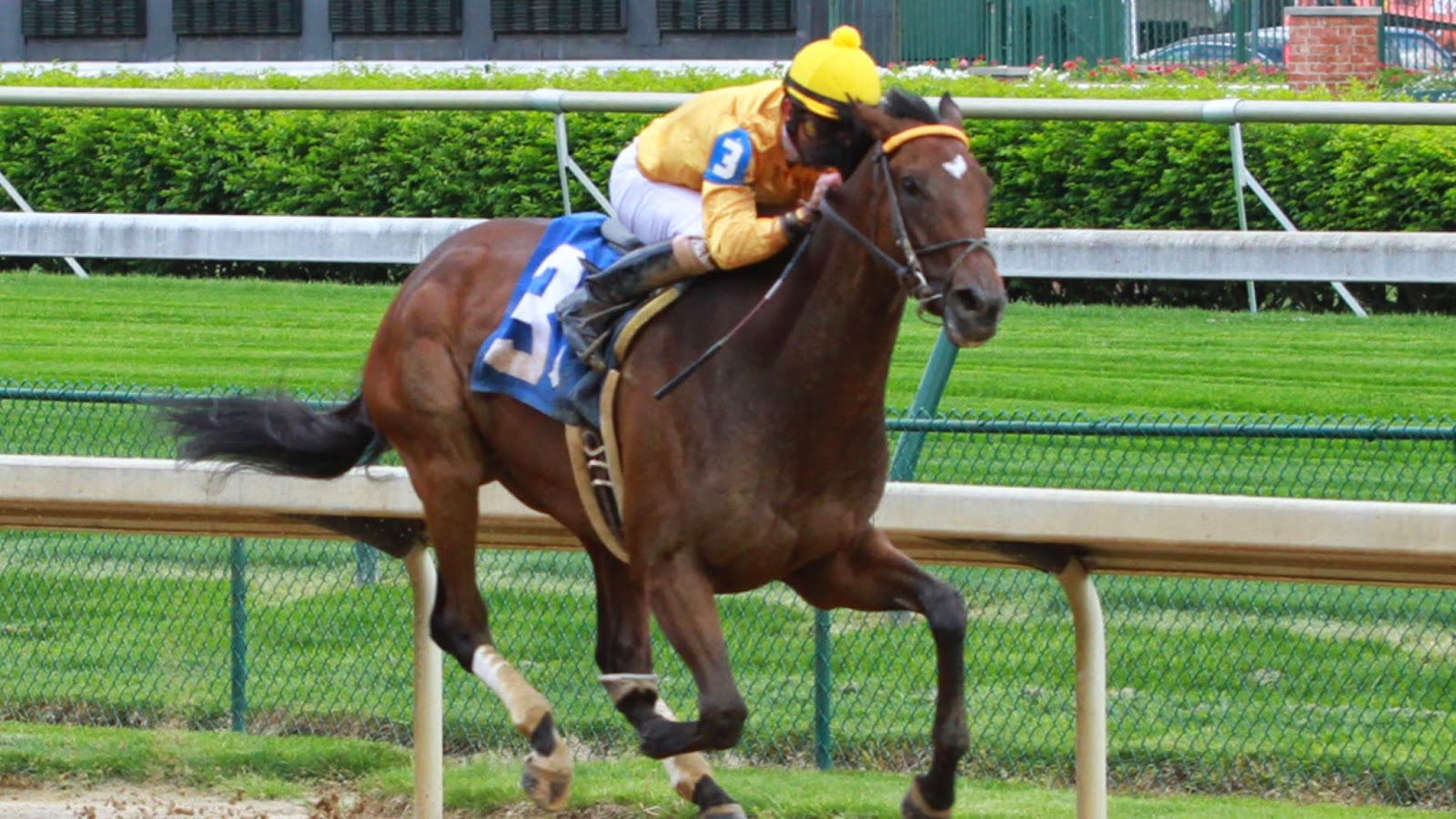 The Turk Horses, Handicapping and Hijinks The Nomination Is In The