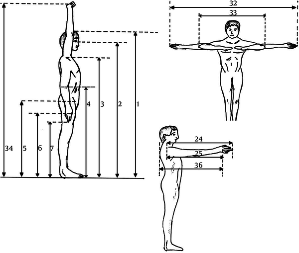 RXDESIGN Anthropometrics and Ergonomics