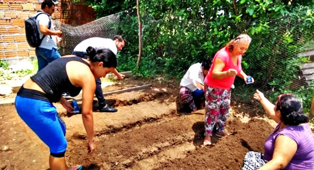 Huertas comunitarias, opción para eludir la pobreza en Colombia