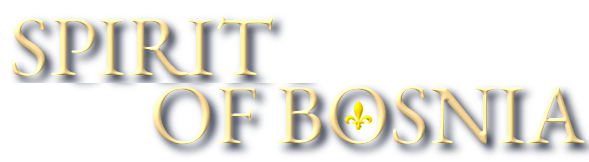 Bosnian Language and Literature: The Best Way to learn Bosnian Online