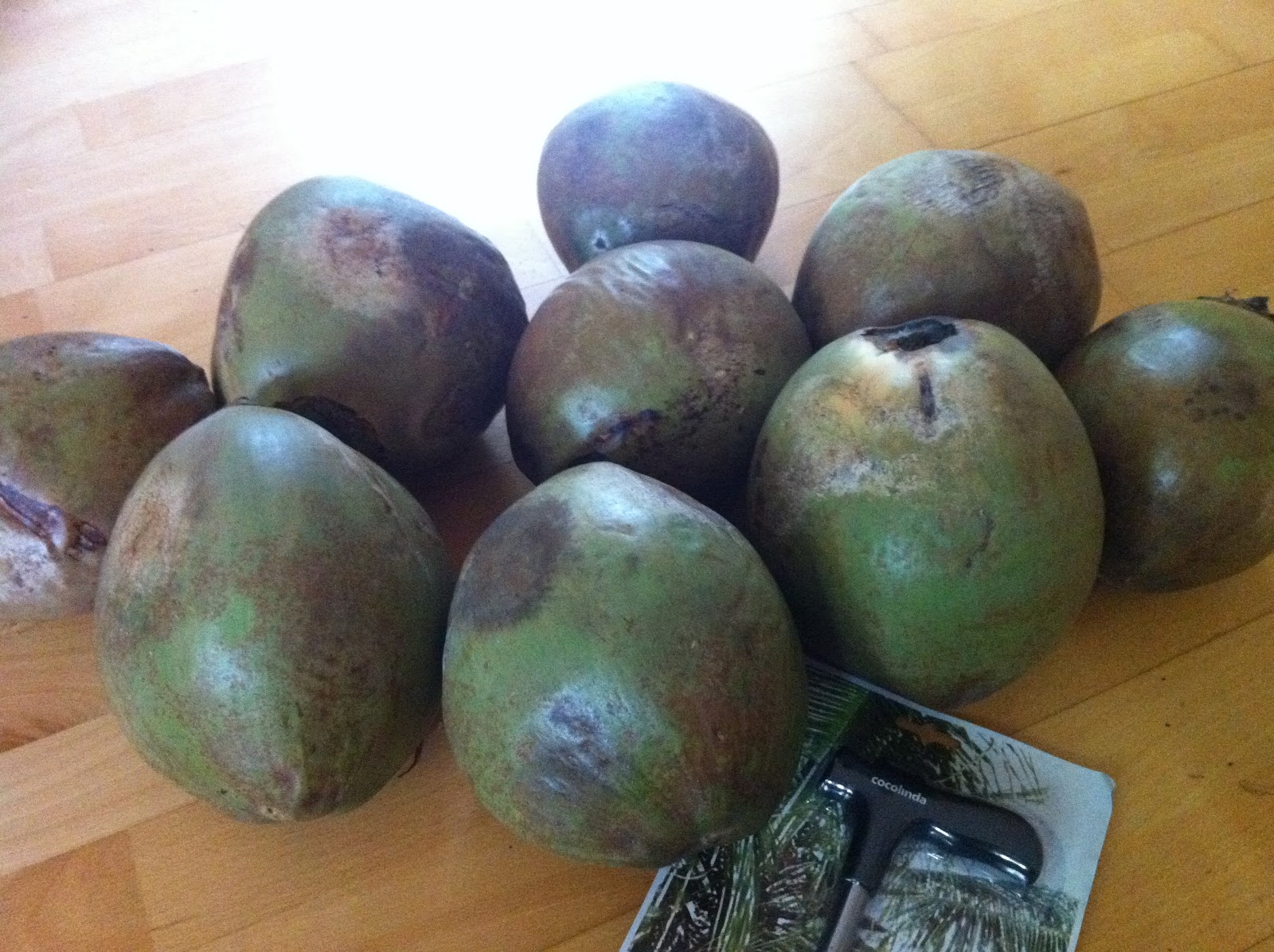 steffi loves raw - vegane rohkost: coconut &amp; vitamix