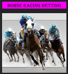 HORSE RACING BETTING