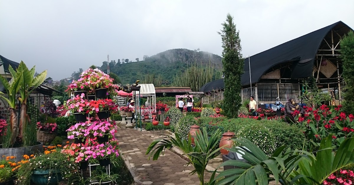 Taman Begonia Lembang-Bandung Jawa Barat - Teh Iis Blog