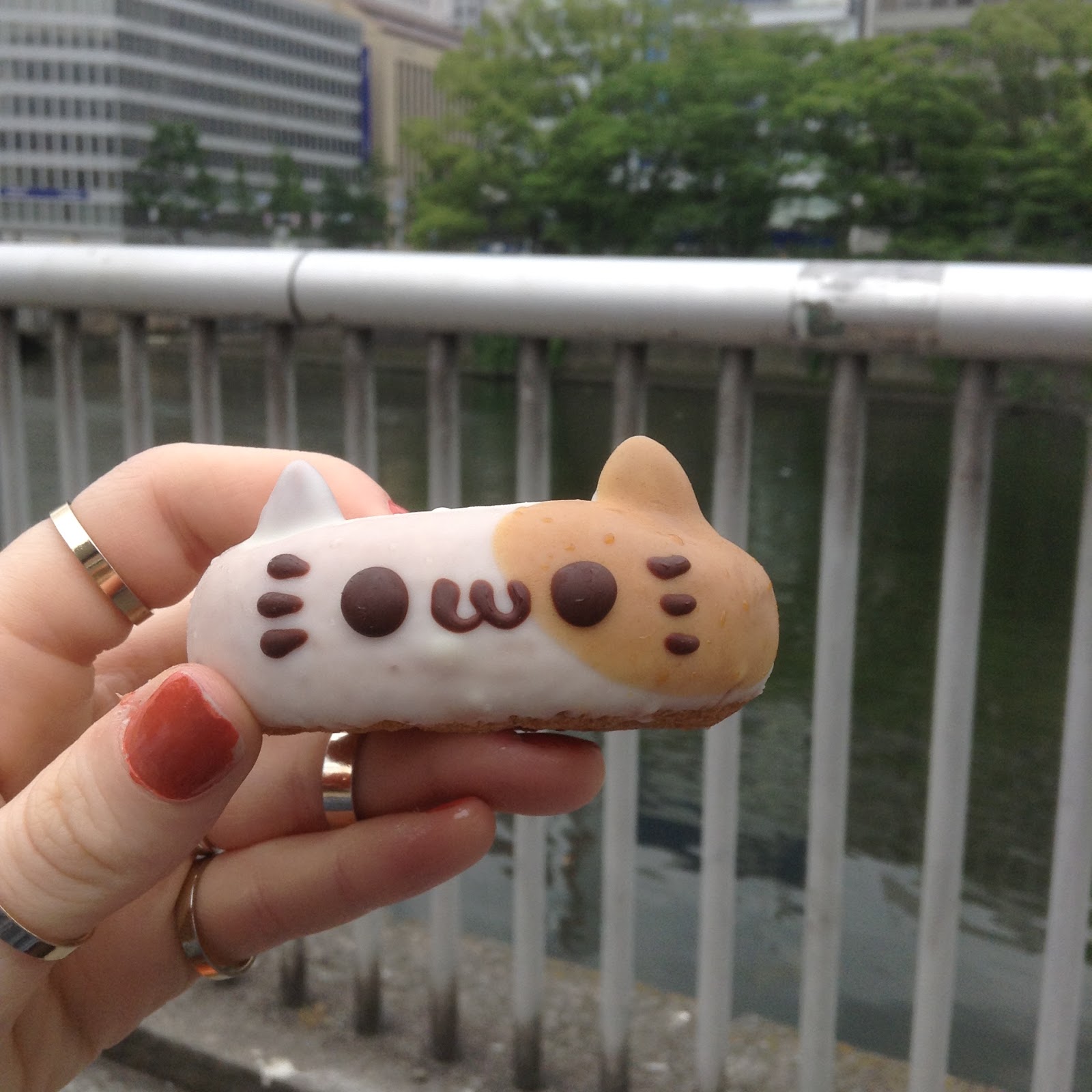 Japan cute cat donut