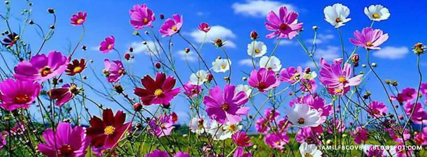 My India FB Covers: Flowers of spring - Season FB Cover