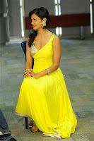 Actress Pooja Kumar in yellow dress