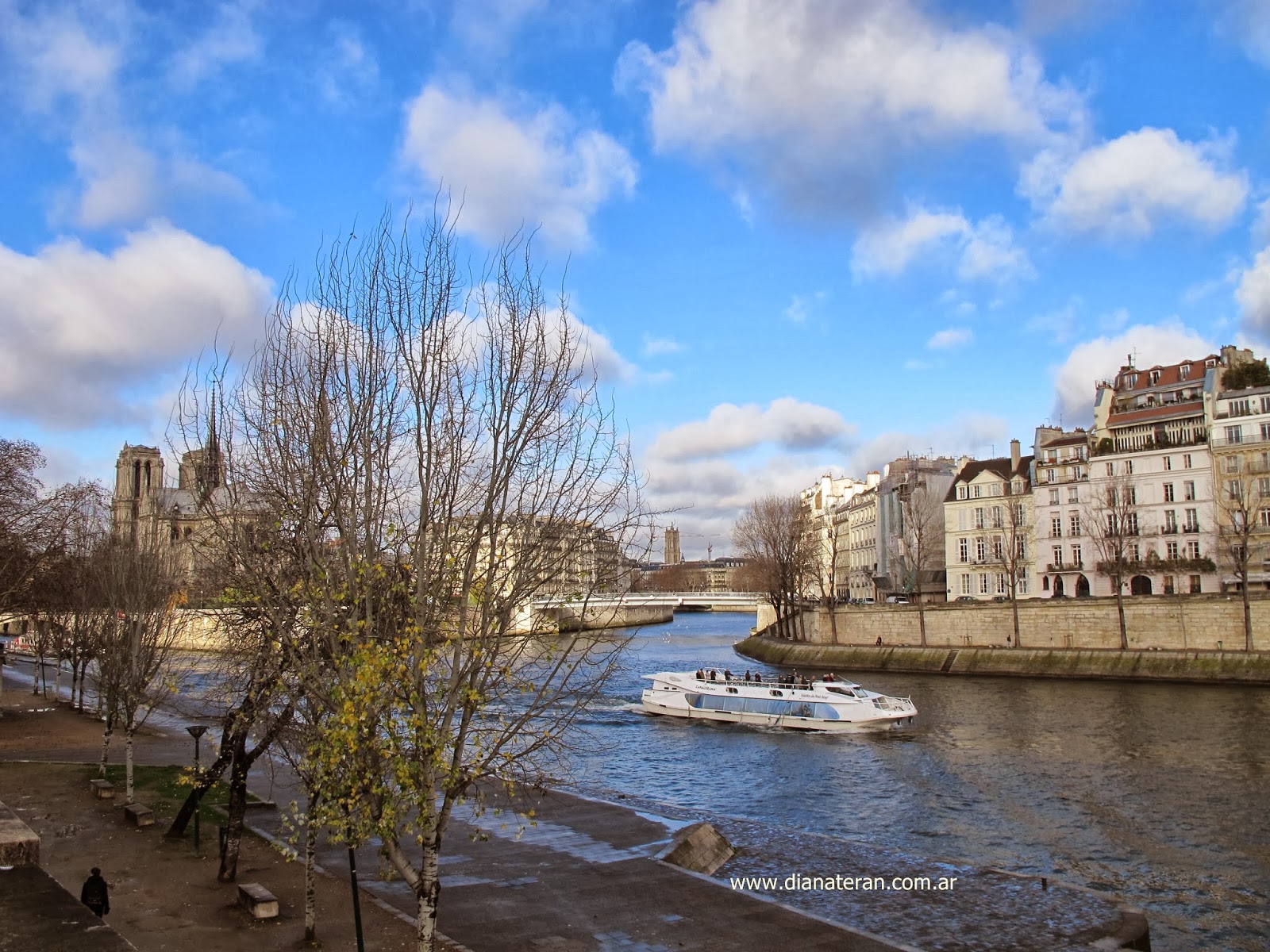 Diana Teran Fotos de París, del río Sena, Fotos de los puentes de