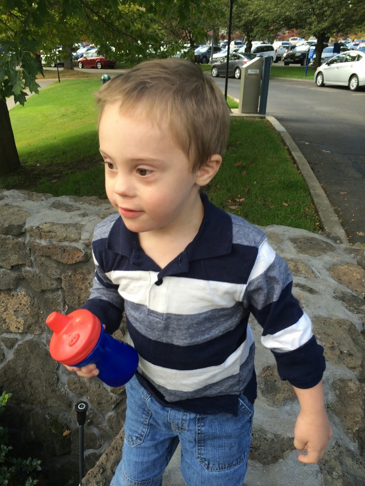 The Ups & Down (syndrome) of the Allred Family: Potty Training: Jacob Style