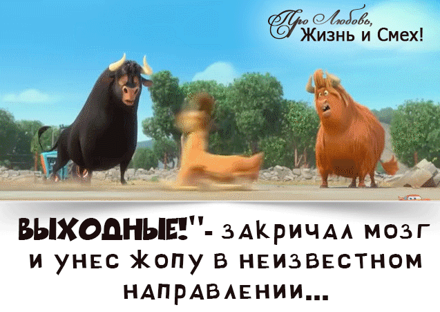 Пятница ответить на вопрос. Выходные закричал мозг и унес в неизвестном направлении. выходные закричал мозг. ура выходные закричал мозг. картинки пятница закричал мозг и унес.
