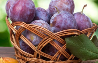 7 Manfaat Buah Plum untuk Ibu Hamil 7 Manfaat Buah Plum untuk Ibu Hamil