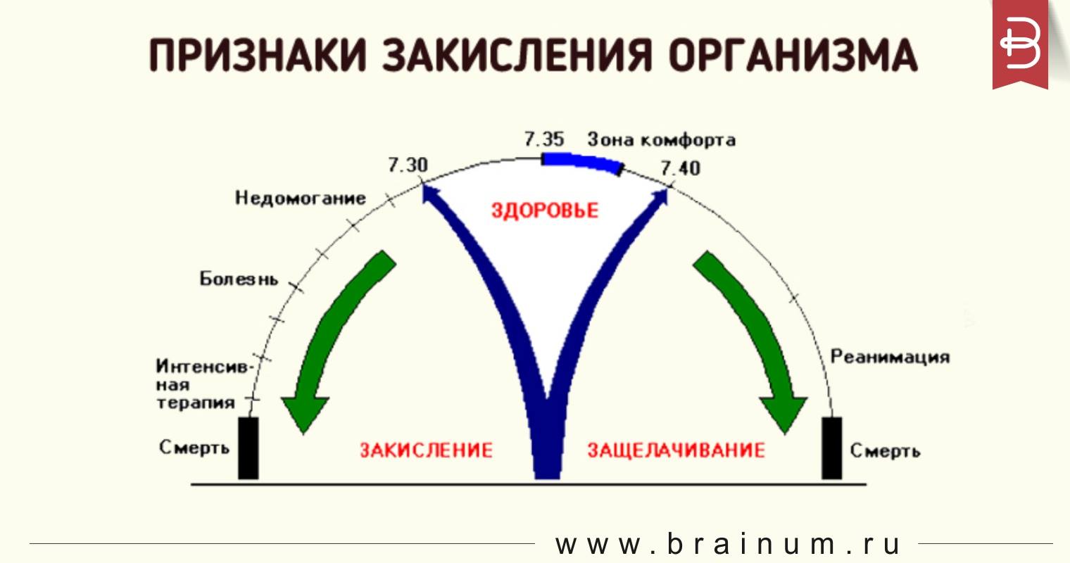 Узнайте закислен ли Ваш организм Узнайте закислен ли Ваш организм