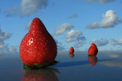 
Φράουλες 🍓🍓🍓
