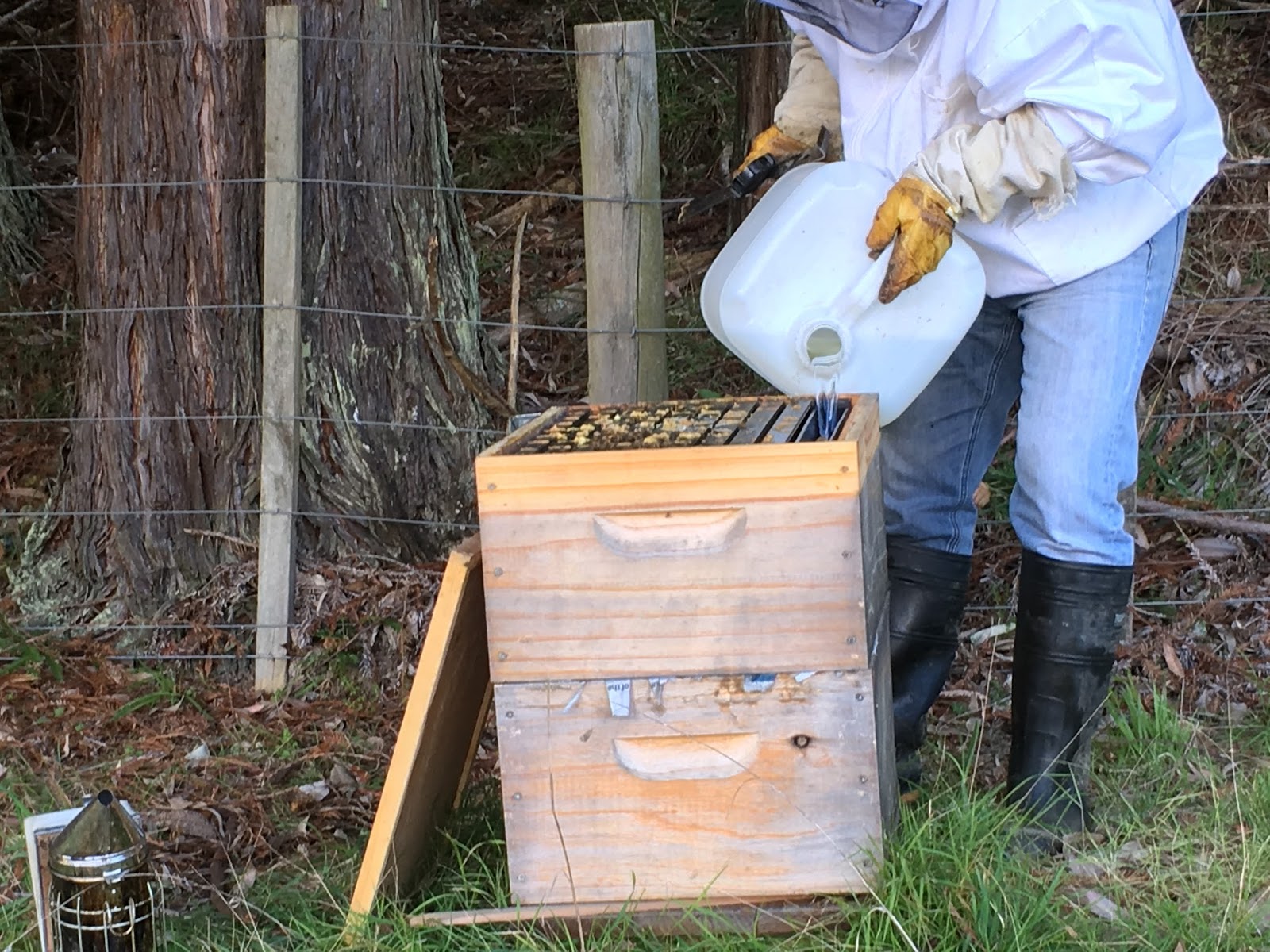 Beekeepers Blog Feeding sugar to bees in spring